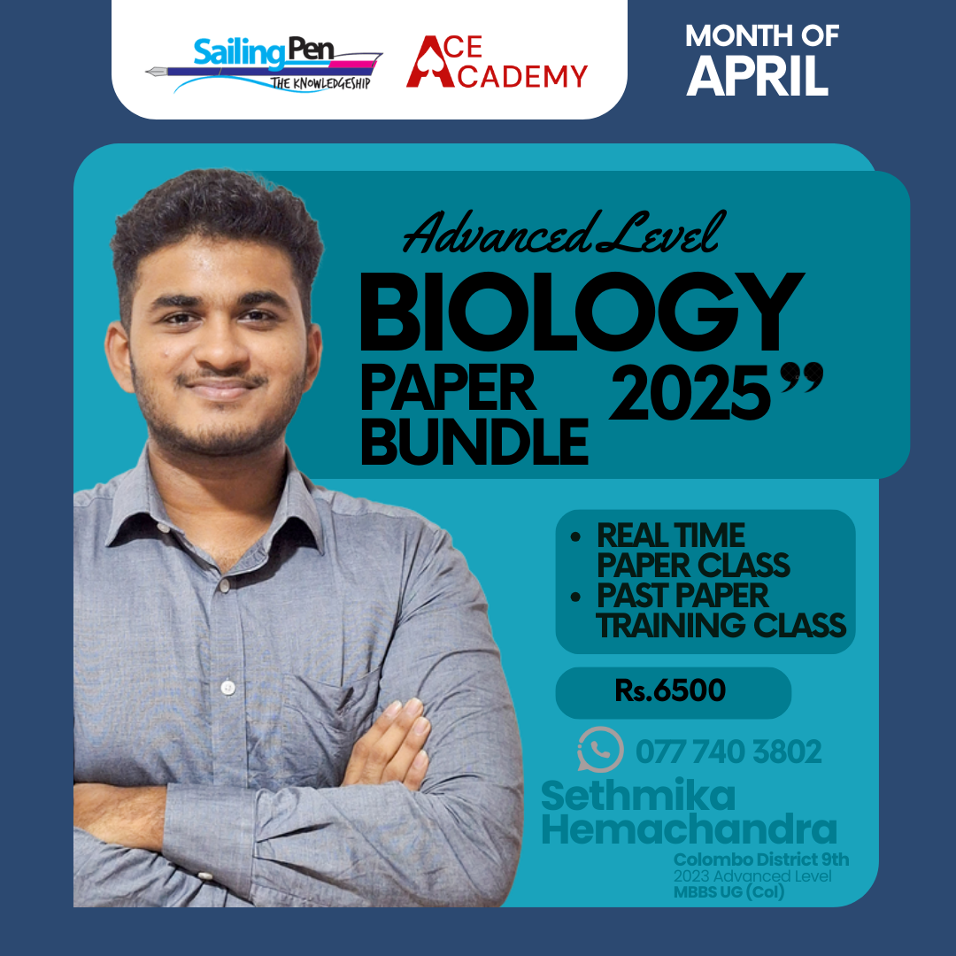 bundle