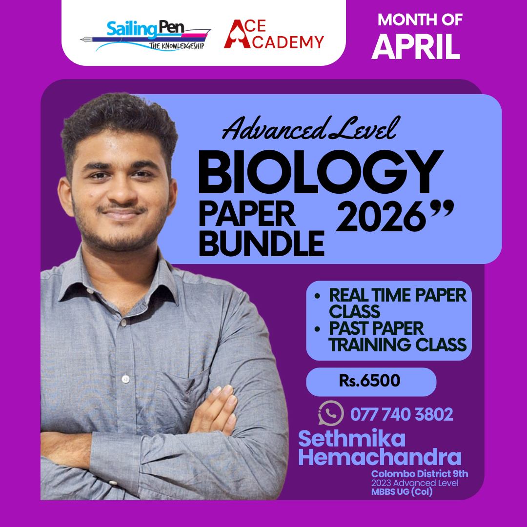 bundle